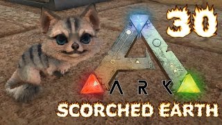 Lets Play ARK Scorched Earth 030  Jerboa BABY Mit Imprinting [upl. by Airec]