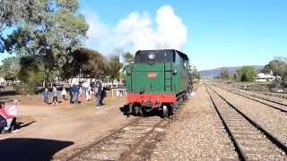 W class locomotive W 934 at Quorn reversing up the Quorn yard to link up with a 6 car consist prior [upl. by Anerys758]