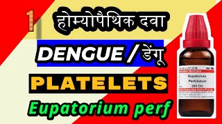 Eupatorium perfoliatum 200 for dengue  Eupatorium perf 200 for platelets count  dengue [upl. by Ahsenrad536]