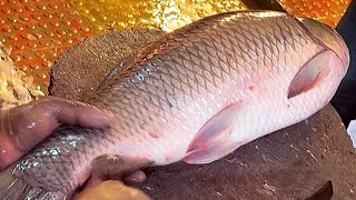 Amazing Cutting skills  Big Rohu Fish Cutting By Expert Fish Cutter [upl. by Bert471]