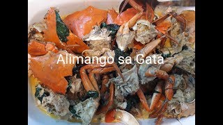 Pinoy Special Alimango sa Gata Crab Stew in Coconut Milk [upl. by Arrahs]