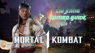 Mortal Kombat 1 Khaos Reigns  Liu Kang Combo Guide Kameo Goro [upl. by Loleta]