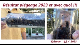 Résultat Piégeage 2023 et avec quoiapiculteurabeilleslesabeillesdefred07 [upl. by Alehs]