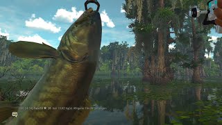 Fishing Planet Folge 763 Quanchkin Lake Erkundung Teil 2 [upl. by Tarton]