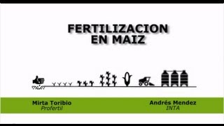 Estrategias de Fertilización en maíz [upl. by Leugimesoj]