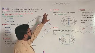 Mitosis  Prophase  Metaphase  Anaphase  Telophase  FScBiology [upl. by Yrad]