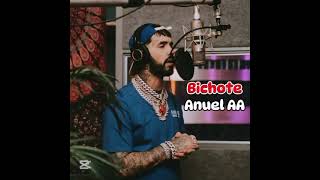 Bichote  Anuel AA IA  Reff [upl. by Racklin]