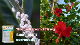 Best Insecticide for Plants  Actara Sygneta Insecticide  Thiamethoxam 25 WG [upl. by Viking]