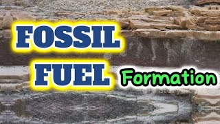 How Fossil Fuels are Formed [upl. by Htyderem]