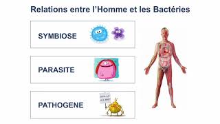 Le microbiote intestinal au service de notre santé [upl. by Dunton39]