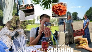 abundance of work amp relaxation in the summer sunshine  peas picnic strawberries etc vlog 203 [upl. by Ahtnahc]