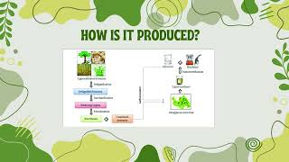 BIOFUEL PRESENTATION FOCUSING ON BIODIESEL [upl. by Enaols]