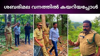 Forest Video  Sabarimala Kerala [upl. by Ahs85]