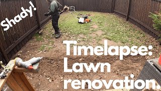 Timelapse lawn renovation in a shady spot [upl. by Cthrine662]