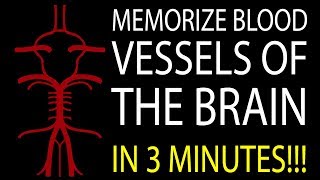 MNEMONIC Brains Blood Supply MEMORIZE in 3 Minutes [upl. by Bobbe]