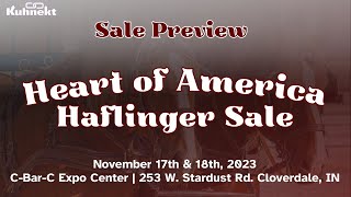 Sale Preview  Heart of America Haflinger Sale [upl. by Saxe174]