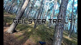 Nähe Regenstauf einer der geilsten Trails MTB Spaß [upl. by Drice]