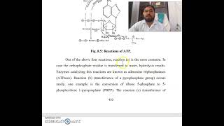 Multiple Displacement Reactions and the Coupling of ATP Cleavage to Endergonic Processes FOR MSC [upl. by Boyd548]