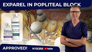 Popliteal block Exparel®s GameChanging FDA Approval [upl. by Elliot751]