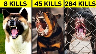 Most Aggressive Guard Dogs In the World [upl. by Corenda]