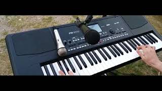 Alex Radu  Rapirea din Serai  Cover Korg PA 300 [upl. by Stutsman]