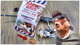 A Simple Way To Catch Catfish With Magic Bait From Walmart [upl. by Nika]