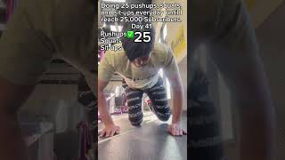 Doing 25 pushups squats and situps everyday until I reach 25000 Subscribers  Day 41 [upl. by Attoynek]