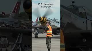 P51 Mustang V12 START 😱plane fyp p51mustang v12 coldstart shorts [upl. by Aerdnaeel442]