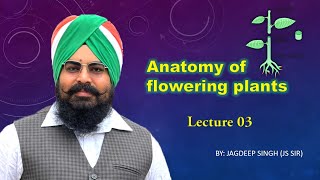 Anatomy of Flowering plants Lecture 3 [upl. by Tyrus]