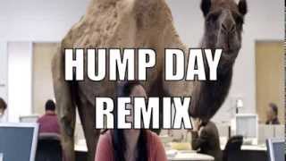 Geico Hump Day Commercial  Happy Camel Dubstep Remix [upl. by Glennie957]