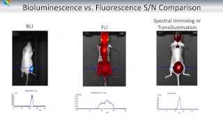 Basics Of Optical Imaging In Vivo  Part I Tissue Optics [upl. by Seadon305]