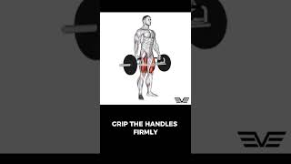 Trap Bar Deadlift trapbardeadlift deadlift deadlifts trapbardeadlifts [upl. by Eisor]