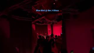 Blue Bird  JDisco Anime Messe Babelsberg 2022 [upl. by Oigroeg]