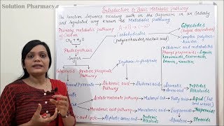 Class 01  Metabolic Pathway  Introduction to Basic Metabolic Pathway [upl. by Lienet679]