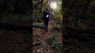 Hiking in the woods of the mountains solohiking foresthike hikingalone [upl. by Nell]