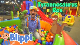 Blippi Visits an Indoor Playground  Learning Videos For Kids  Education Show For Toddlers [upl. by Ahseym]