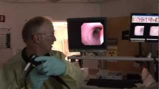 Using a Bronchial Scope for a Bronchoscopy at Christian Hospital in St Louis Missouri [upl. by Georgena]