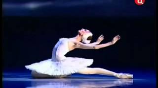 The Dying Swan Svetlana Zakharova Camille SaintSaens [upl. by Danais]