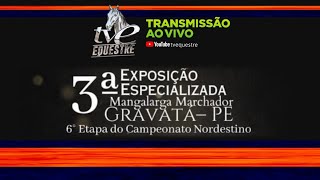 4º DIA 3ª EXPOSIÇÃO ESPECIALIZADA MANGALARGA MARCHADOR  GRAVATA  PE [upl. by Nylecyoj]