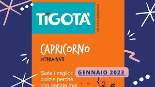 Nuovo volantino Tigotà Gennaio 2023 [upl. by Artinahs]