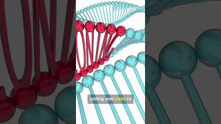 darwins theory of evolution cellularsoldiers darwin evolutiontheory scienceeducation biology [upl. by Brittani]