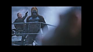 Red Donkey Saves Caesar  Death Scene  War for the Planet of the Apes 2017LOWI [upl. by Haerb236]