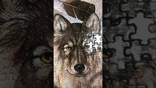 my new jigsaw puzzle  پازل جدیدم puzzletherapy shortsvideo [upl. by Colpin340]