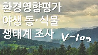 환경영향평가 동식물 생태계조사 브이로그 [upl. by Ilahtan]