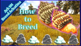 How to Breed Achatina  Ark Survival Evolved [upl. by Shaver172]