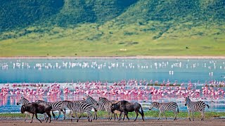 Adventure Highlight Ngorongoro Crater Africa [upl. by Ansell]