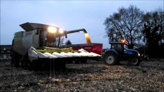 Maïs Grain 2016  2 Moissonneuse Claas  Bretagne [upl. by Meier644]