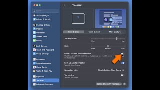 How to Fix a MacBook Trackpad that wont click [upl. by Olfe527]