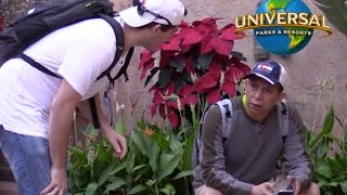 How To Get Drugs In UNIVERSAL STUDIOS Prank [upl. by Ahsie]