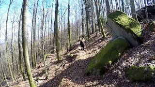 Wanderung GrafHeinrichWeg  Pfalz [upl. by Wyler]